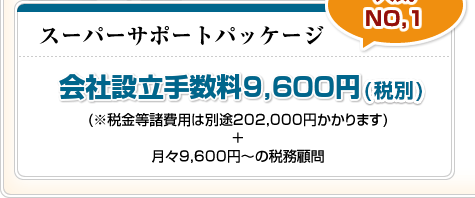 スーパーサポートパッケージ 会社設立手数料1,980円 (※税金等諸費用は別途198,000円かかります)+月々9,400円~の税務顧問
