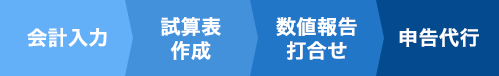 会計入力 試算表 作成 数値報告 打合せ 申告代行